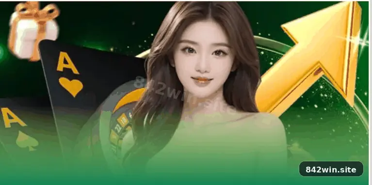 842win visual 2